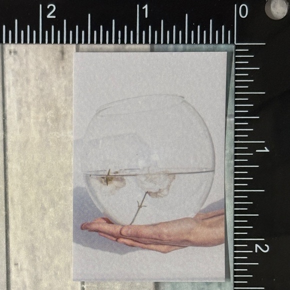 ๐10/$10๐ White Dream Reusable Washi Sticker Decal - Picture 1 of 1